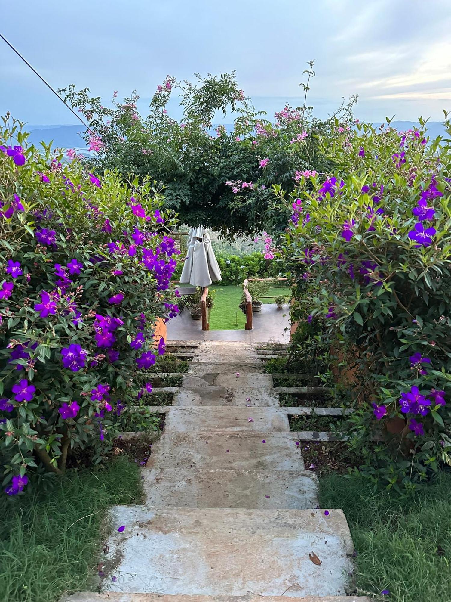 Ta Dung May Farm Bidong Kültér fotó